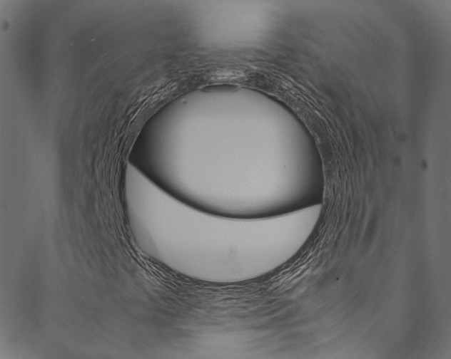 X0000088681441200705311012