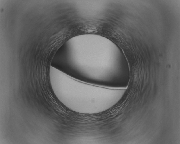 X0000088681442200705311012