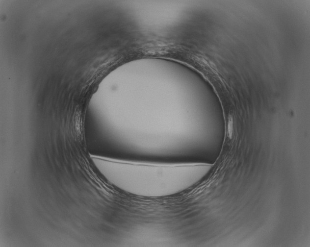 X0000088681444200705311012