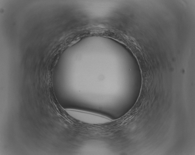 X0000088681445200705311012