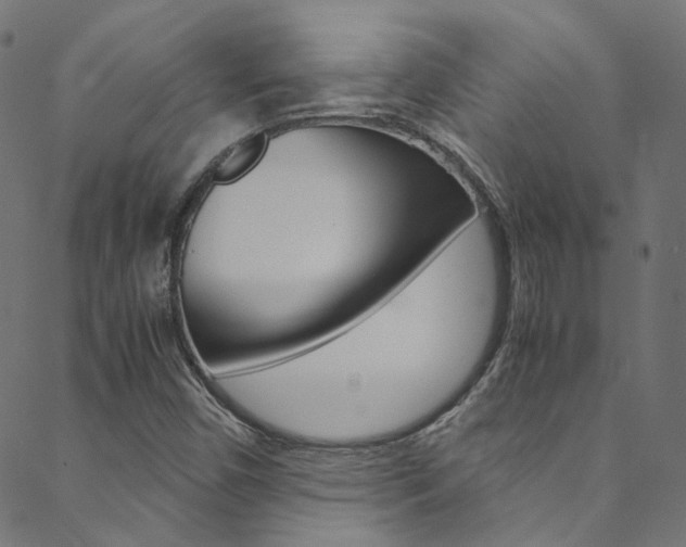X0000088681450200705311012