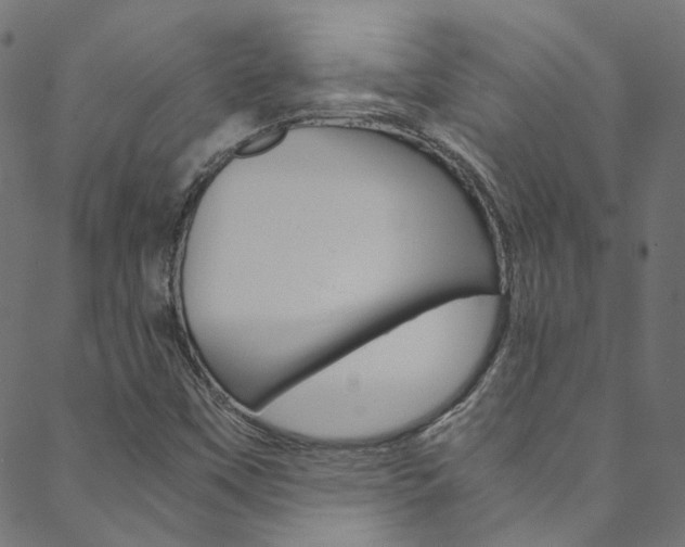 X0000088681451200705311012