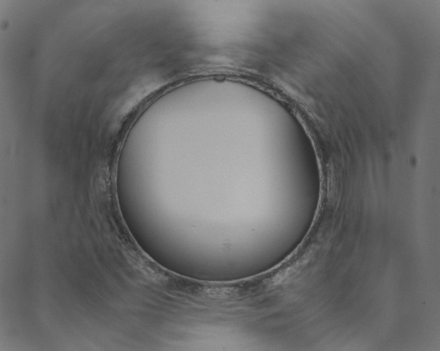 X0000088681453200705311012