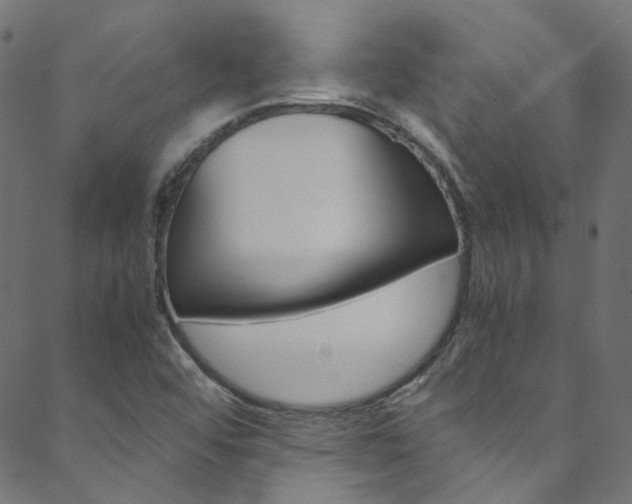 X0000088681456200705311012