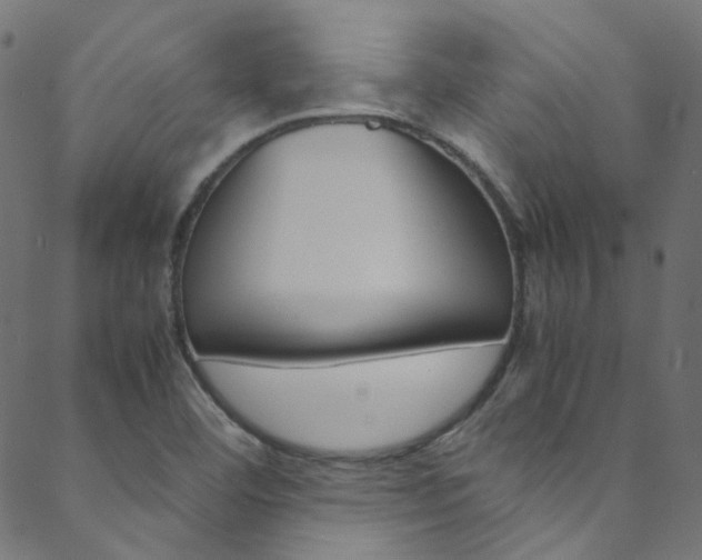 X0000088681460200705311012