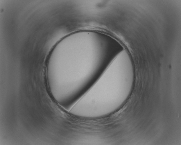 X0000088681463200705311011
