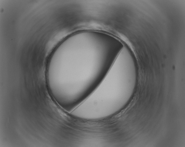 X0000088681464200705311011