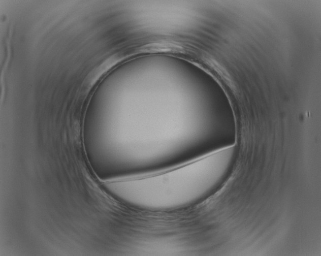 X0000088681465200705311011