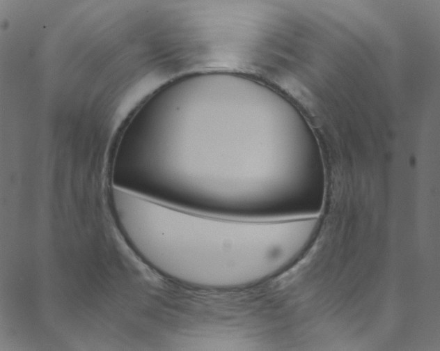 X0000088681469200705311011