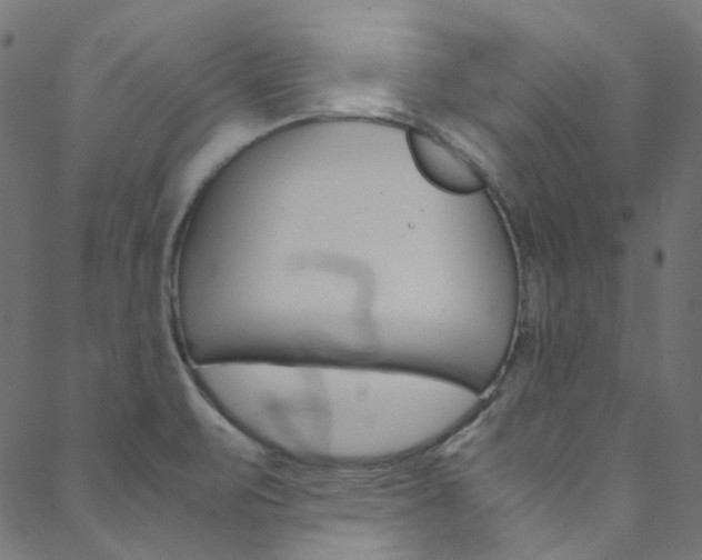 X0000088681471200705311011