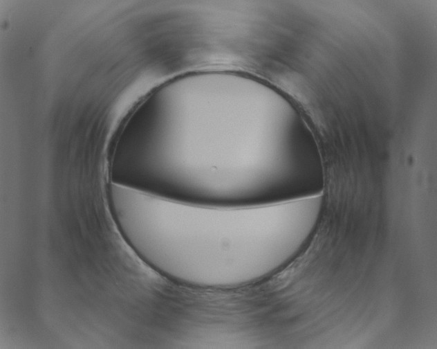 X0000088681472200705311011