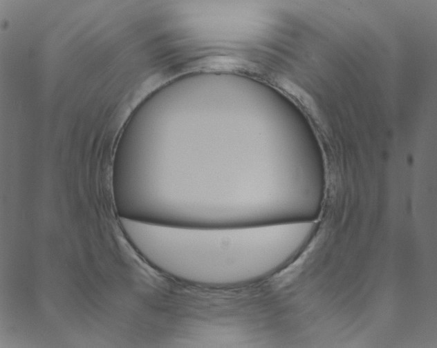 X0000088681473200705311011