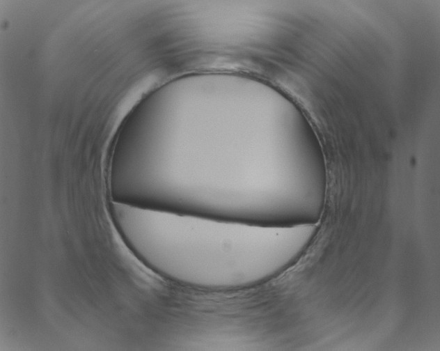 X0000088681475200705311011