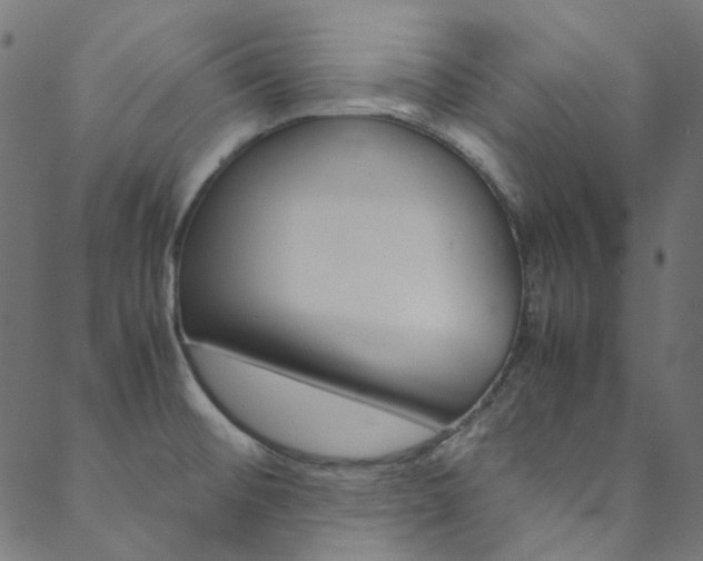 X0000088681476200705311011