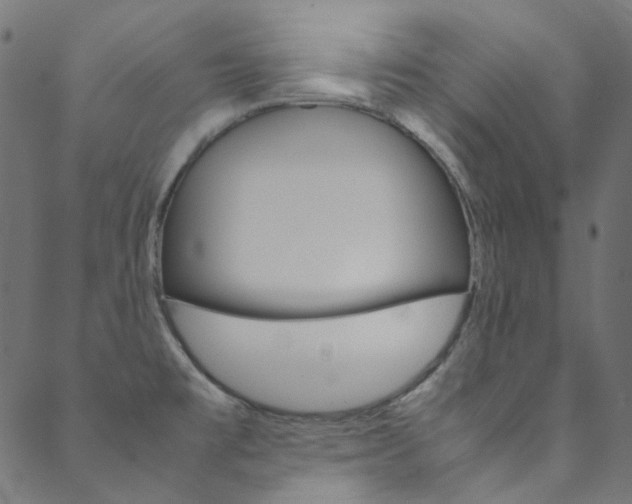 X0000088681477200705311011