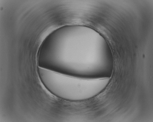 X0000088681479200705311011