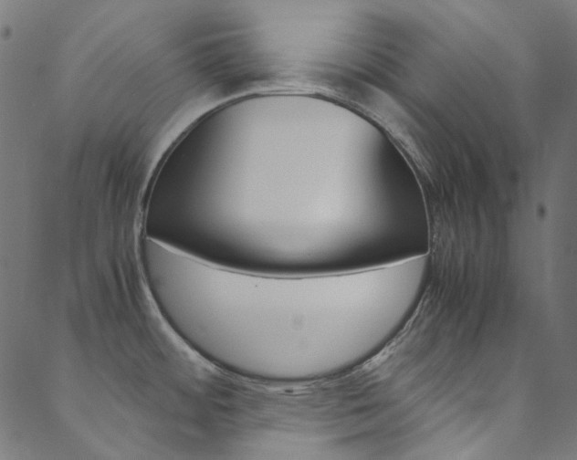 X0000088681484200705311011