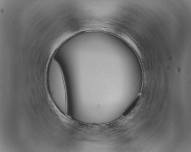 X0000088681485200705311011