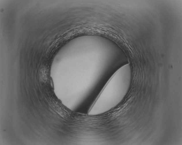 X0000088681490200705311010