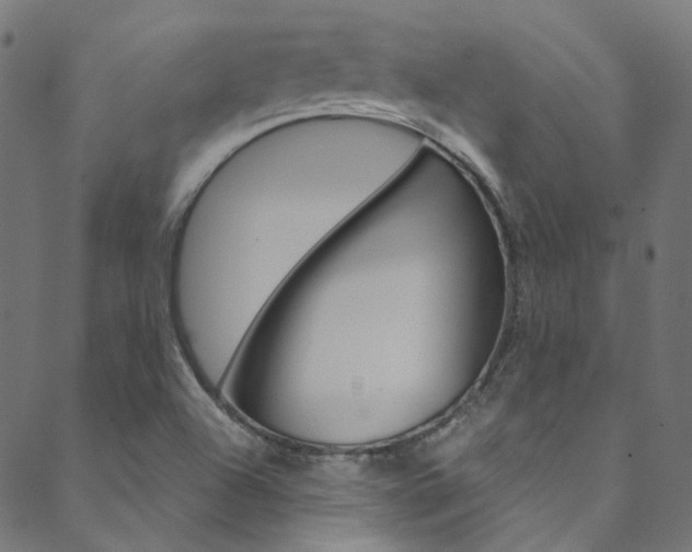 X0000088681504200705311011