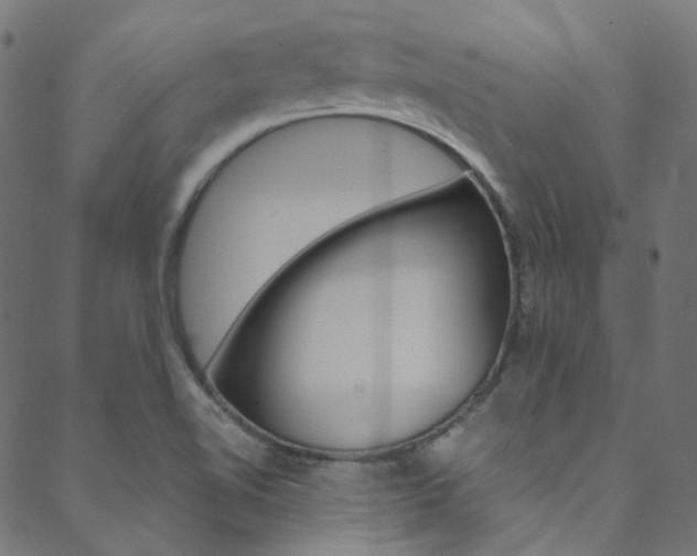 X0000088681510200705311011