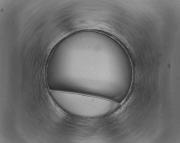 X0000088681513200705311011