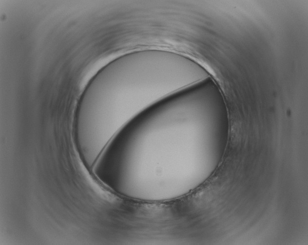 X0000088681523200705311011