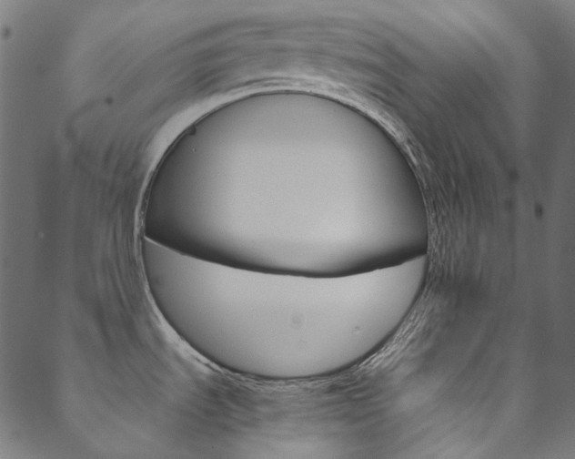 X0000088681535200705311011