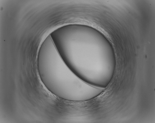 X0000088681536200705311011