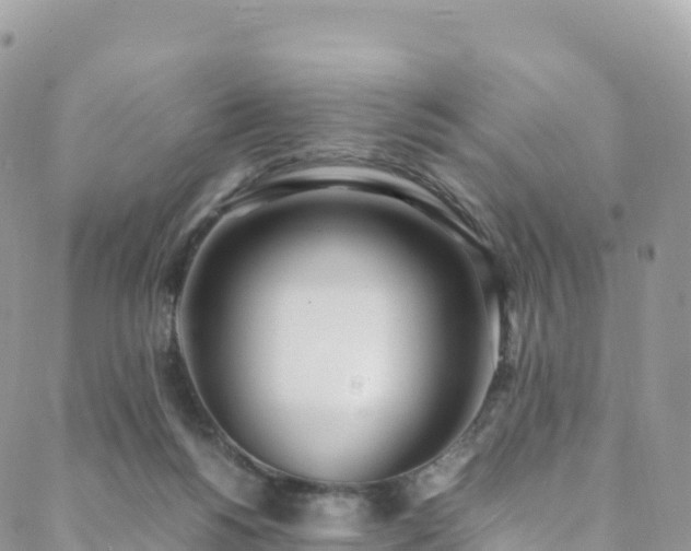 X0000088680168200705311217