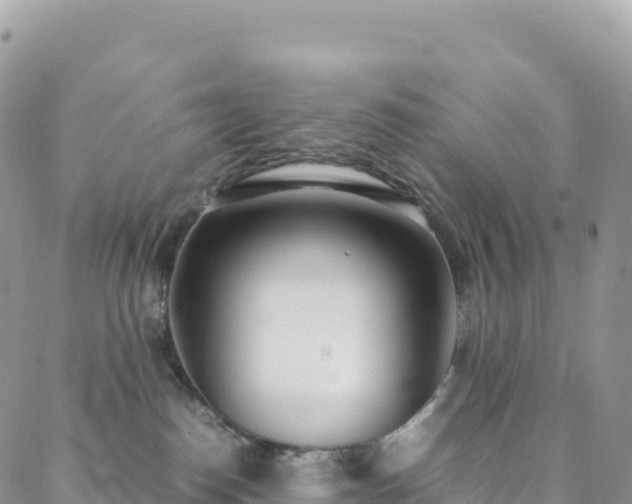 X0000088680186200705311217