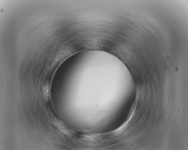 X0000088680190200705311217