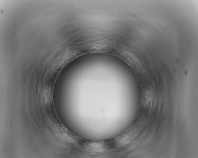 X0000088680236200705311216