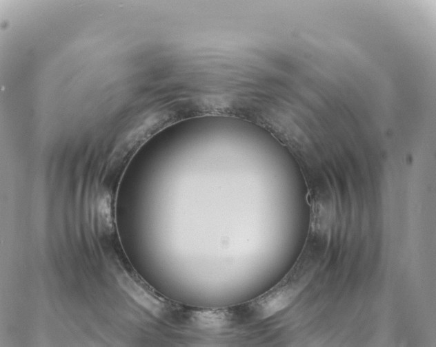 X0000088680238200705311216