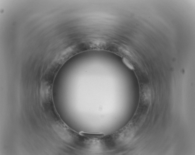 X0000088680276200705311215