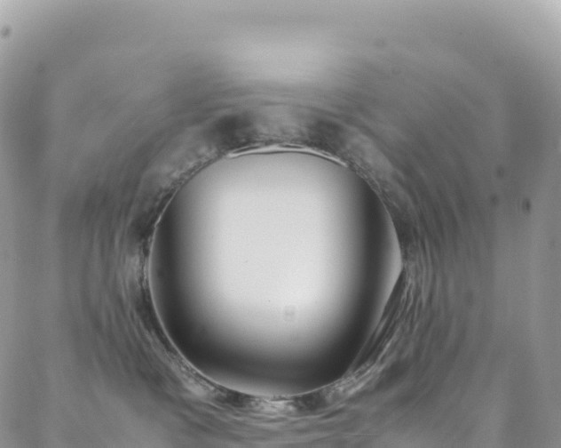 X0000088680333200705311214