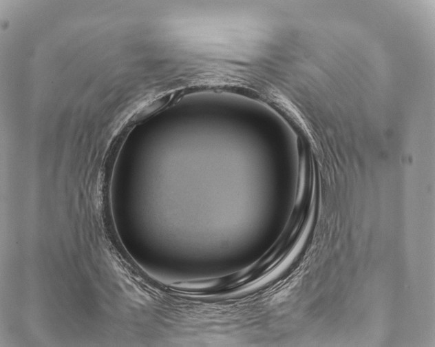 X0000088680387200705311213