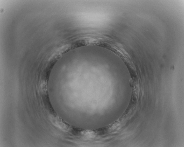 X0000088680419200705311213
