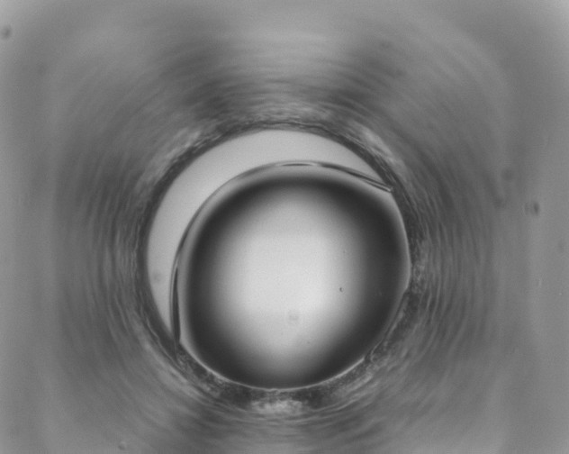 X0000088680452200705311212