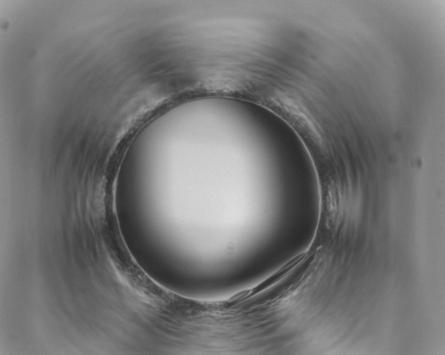 X0000088680492200705311211