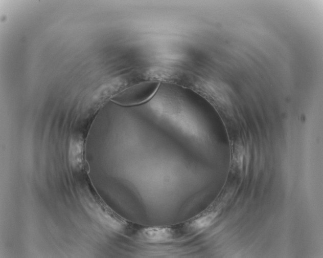 X0000088680526200705311211
