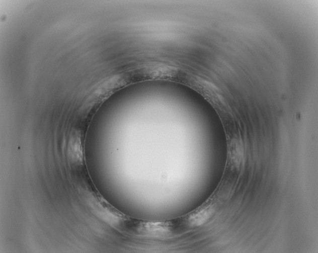 X0000088680622200705311209