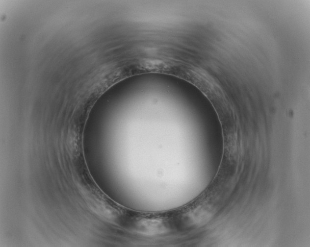 X0000088680653200705311209