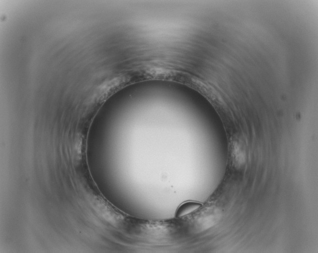 X0000088680668200705311209