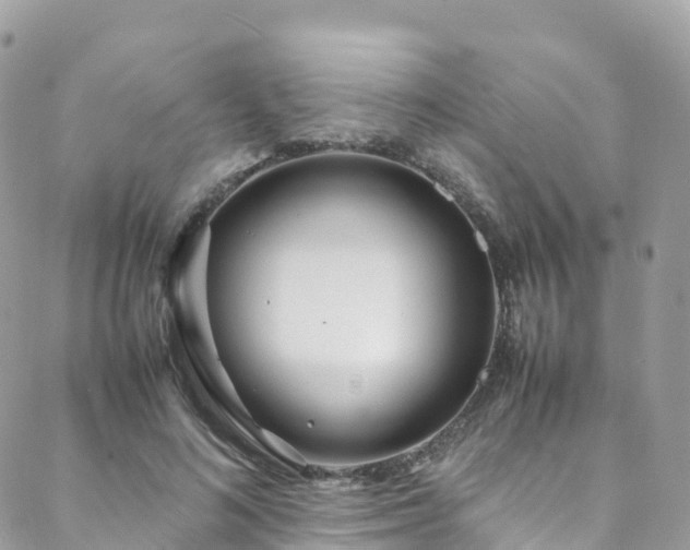 X0000088680692200705311208