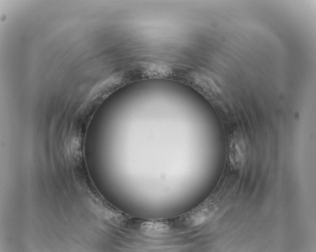 X0000088680714200705311208