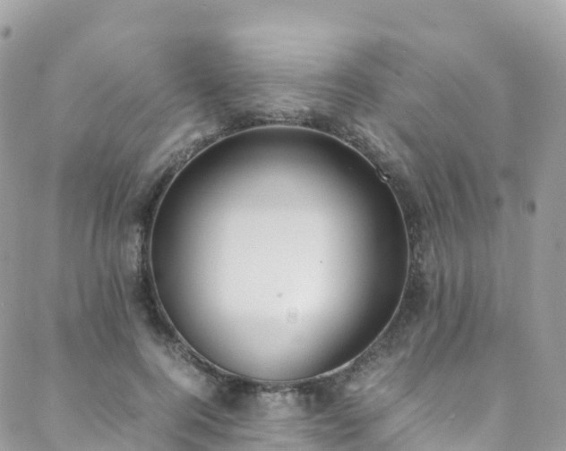 X0000088680744200705311207