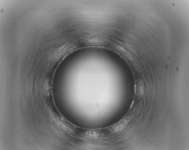 X0000088680764200705311208