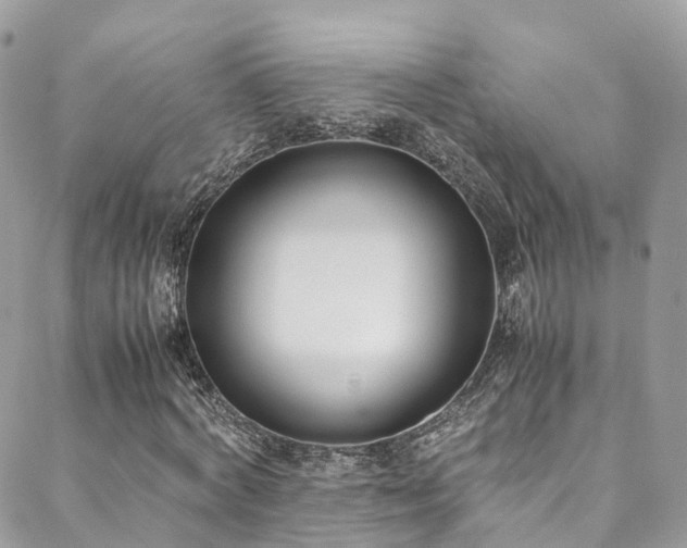 X0000088680772200705311207