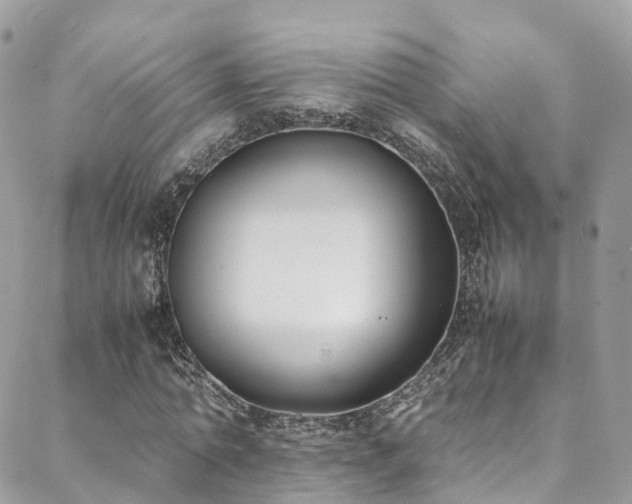 X0000088680774200705311207